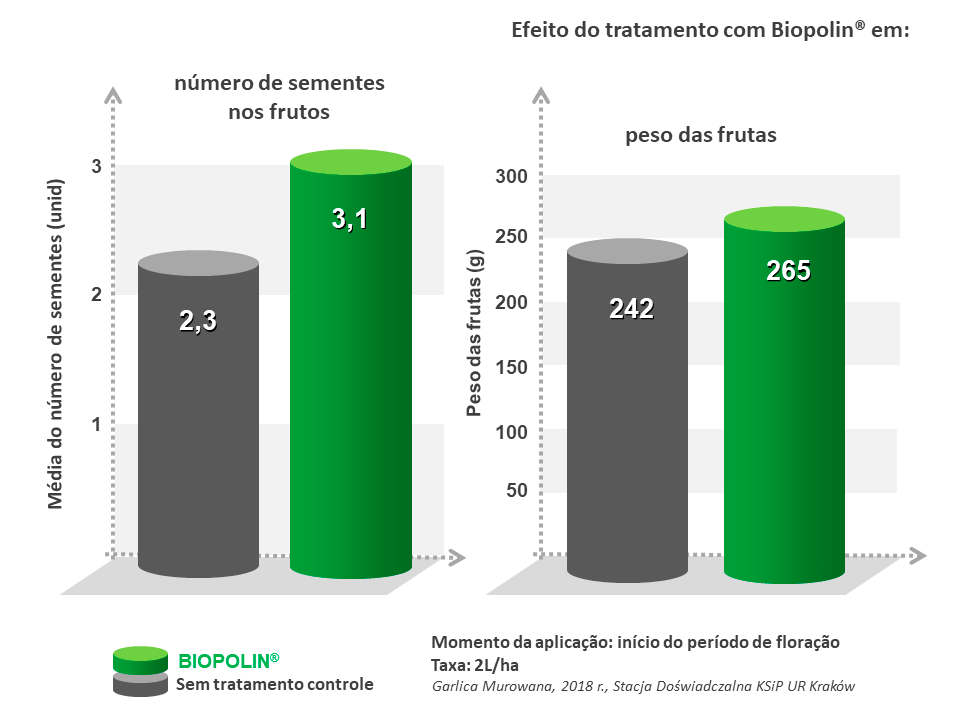 The effect of Biopolin treatment on the number of seeds in fruits and the weight of fruits - chart